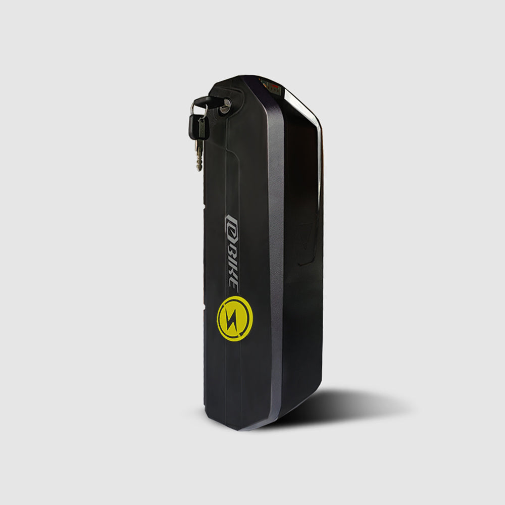 Sugain 48V 15AH Lithium Battery For H1