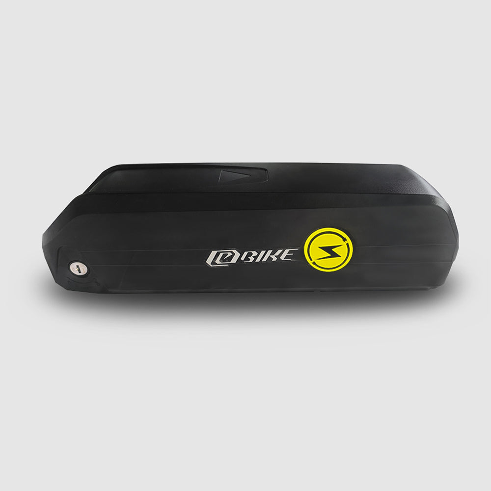 Sugain 48V 15AH Lithium Battery For H1